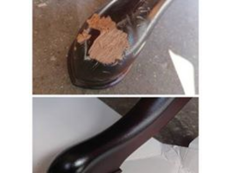 Dog Bite Repair