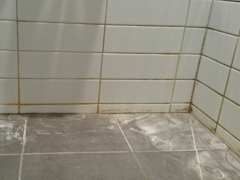 Shower - Before