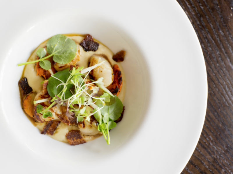Food Photography